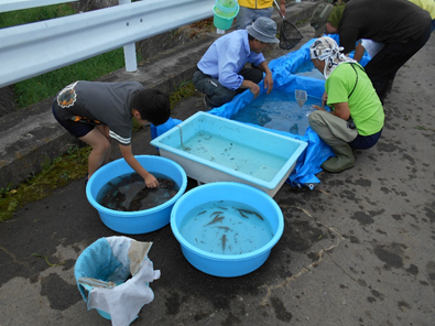 生き物調査の様子