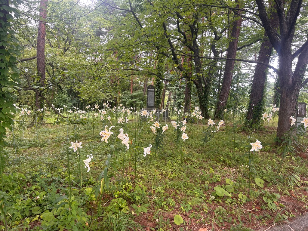 石碑周辺12