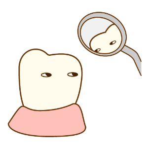 デンタルミラーと歯