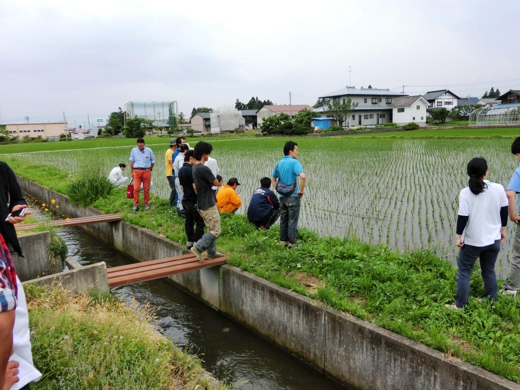 圃場見学の様子