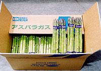 アスパラガスの写真