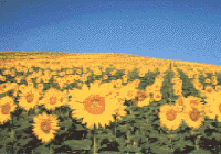 1238391399473.gif