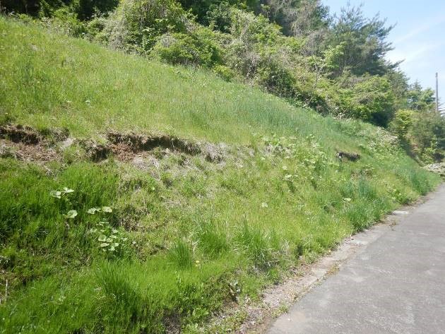盛土等法面の状況