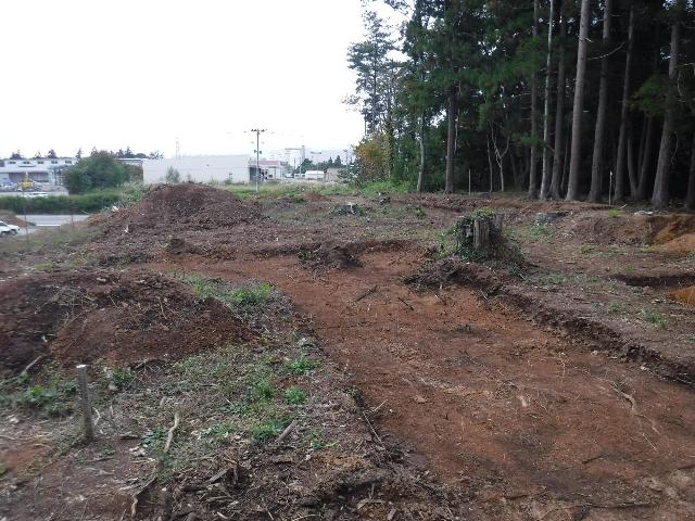 馬場野遺跡調査区全景