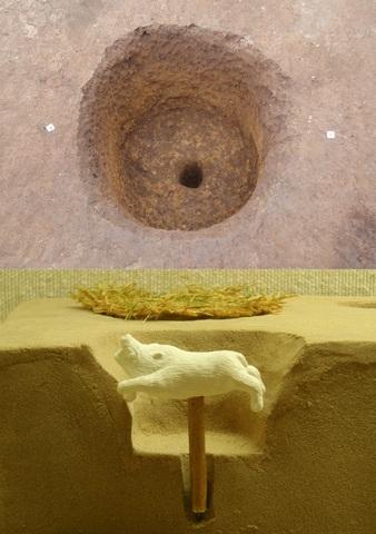 落し穴