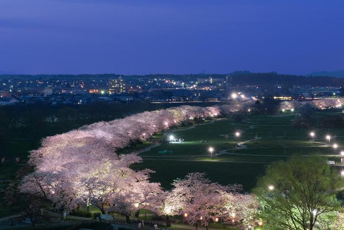 SAKURAMagicHour