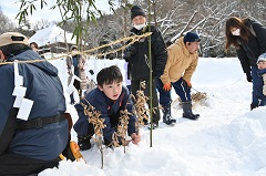雪中田植え