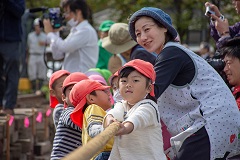 せーの、で引っ張る立花保育園の園児たち