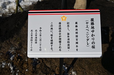 展勝地ゆかりの桜51種のうち、ヤエベニシダレの植樹を行いました