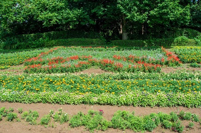 13種類約9,000本の花苗をリボン型に植栽しました