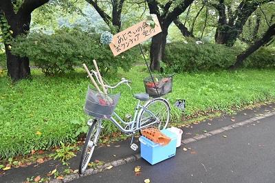 北上あじさいの会が春と秋の年2回ボランティアを募って作業しています