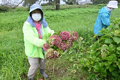 展勝地開園100周年記念式典用に大きなリースも作って飾る予定です