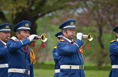 ラッパ隊