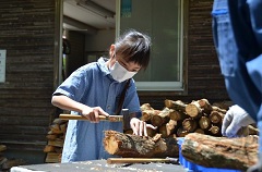 シイタケほだ木の植菌体験