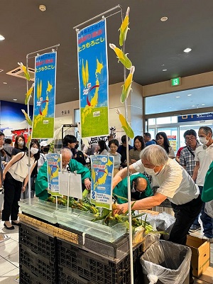 朝採りトウモロコシが大盛況