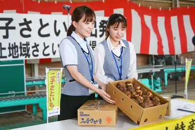 箱詰めされた二子さといも