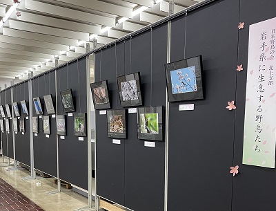 展示室のようす