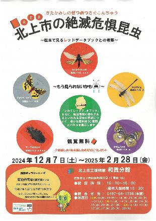 企画展「北上市の絶滅危惧昆虫」