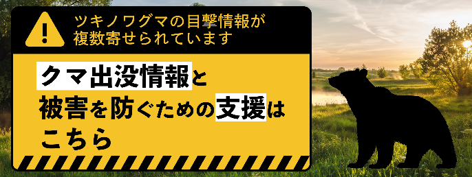 ツキノワグマの目撃情報が複数寄せられています。クマ出没情報と被害を防ぐための支援はこちらをクリック。