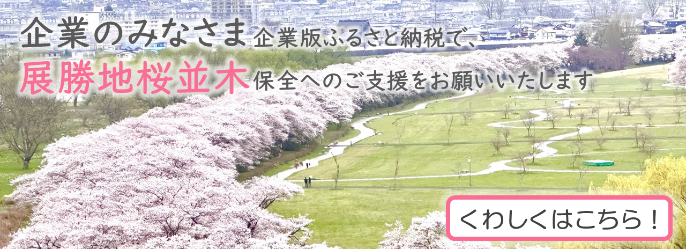 企業のみなさま　企業版ふるさと納税で展勝地桜並木保全へのご支援をお願いいたします。詳しくはこちらをチェック