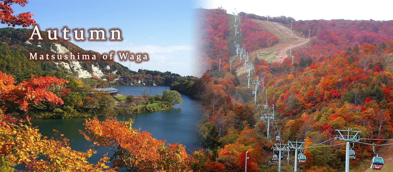 和賀の松島で海岸線を背景に紅葉がきれいに映える様子