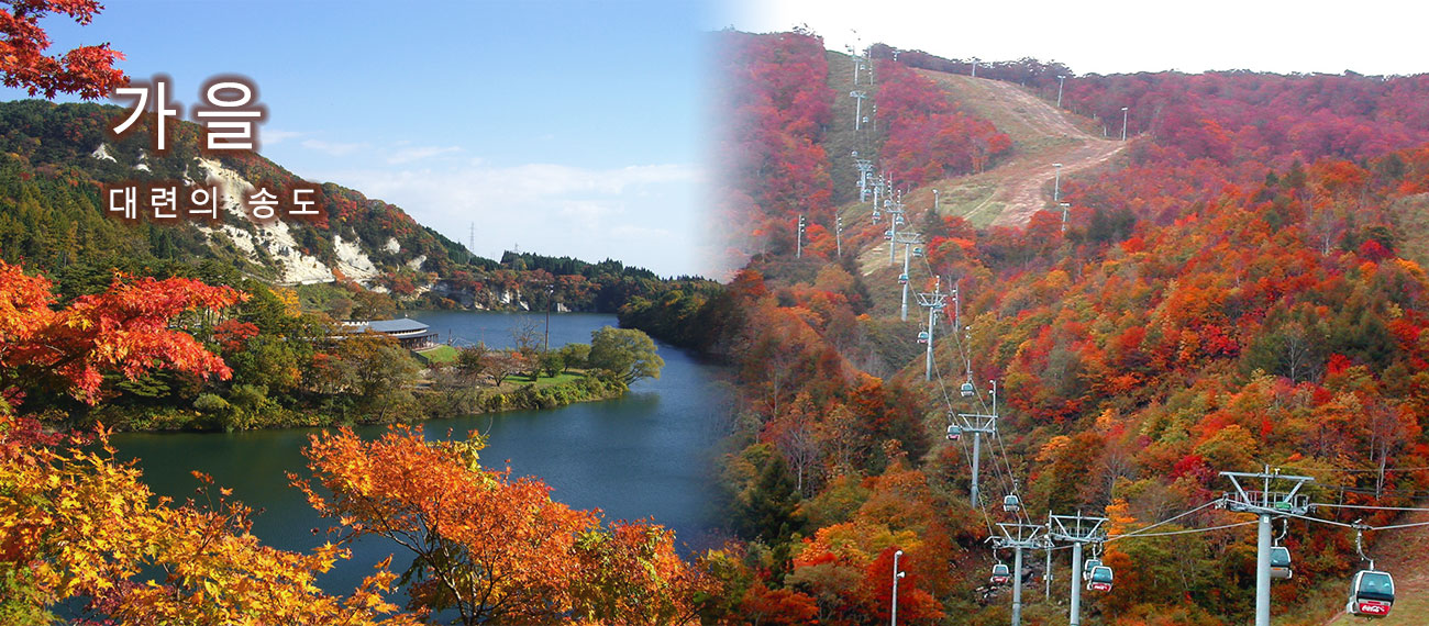 和賀の松島で海岸線を背景に紅葉がきれいに映える様子