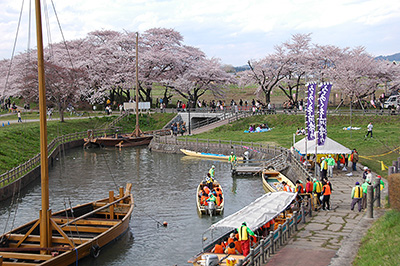 展勝地の湖面と満開の桜