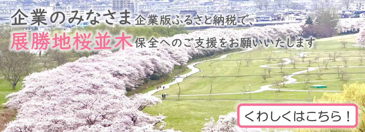 企業のみなさま企業版ふるさと納税で、展勝地桜並木保全へのご支援をお願いいたします。