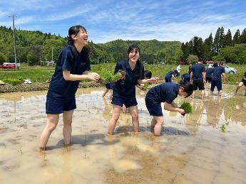 田植えの様子1
