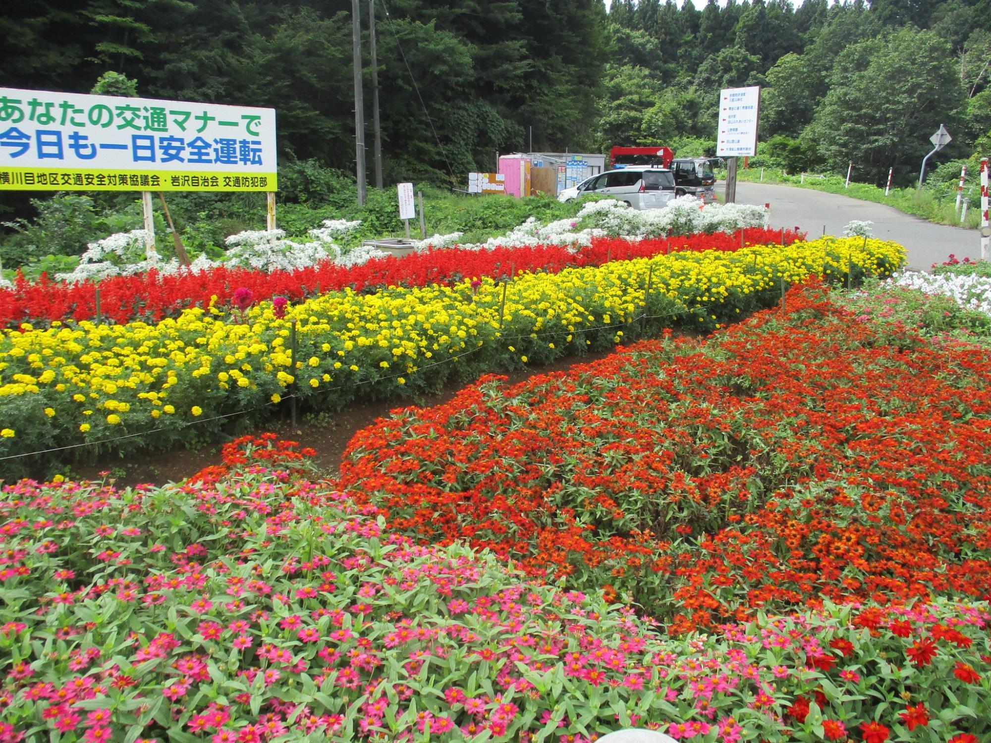 岩沢自治会かすみ草会_2