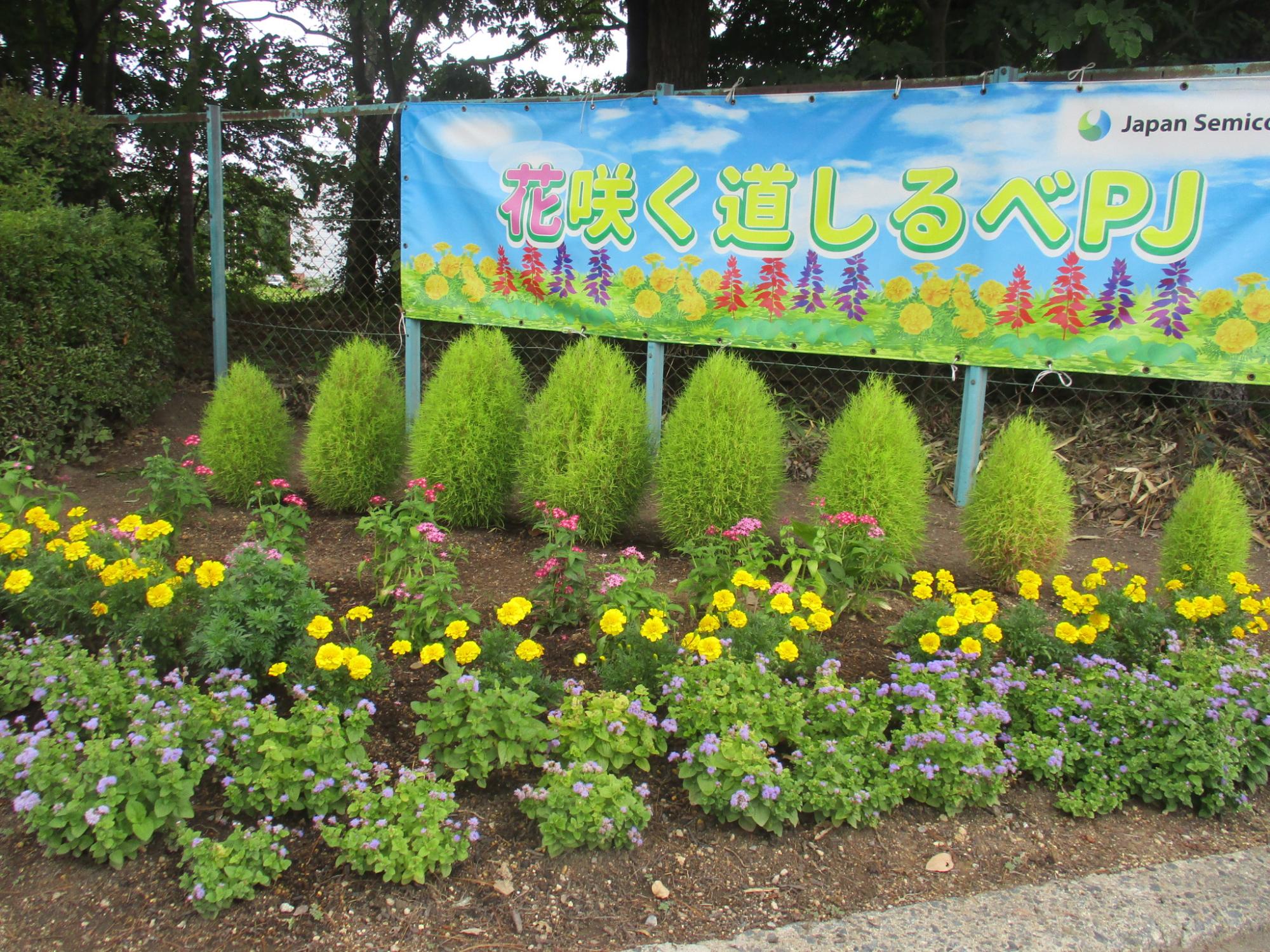 ジャパンセミコンダクター2
