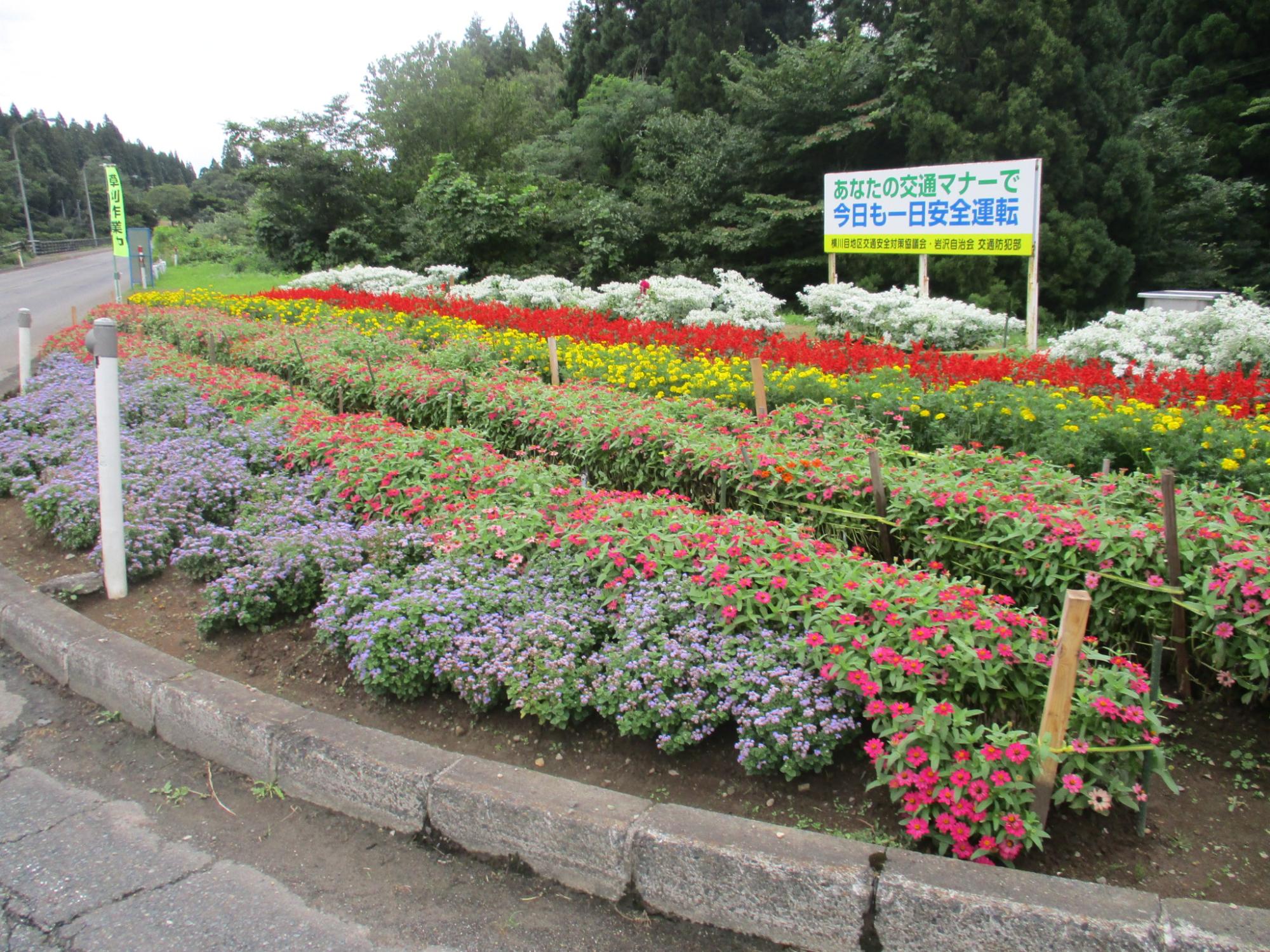 岩沢自治会かすみ草会花壇
