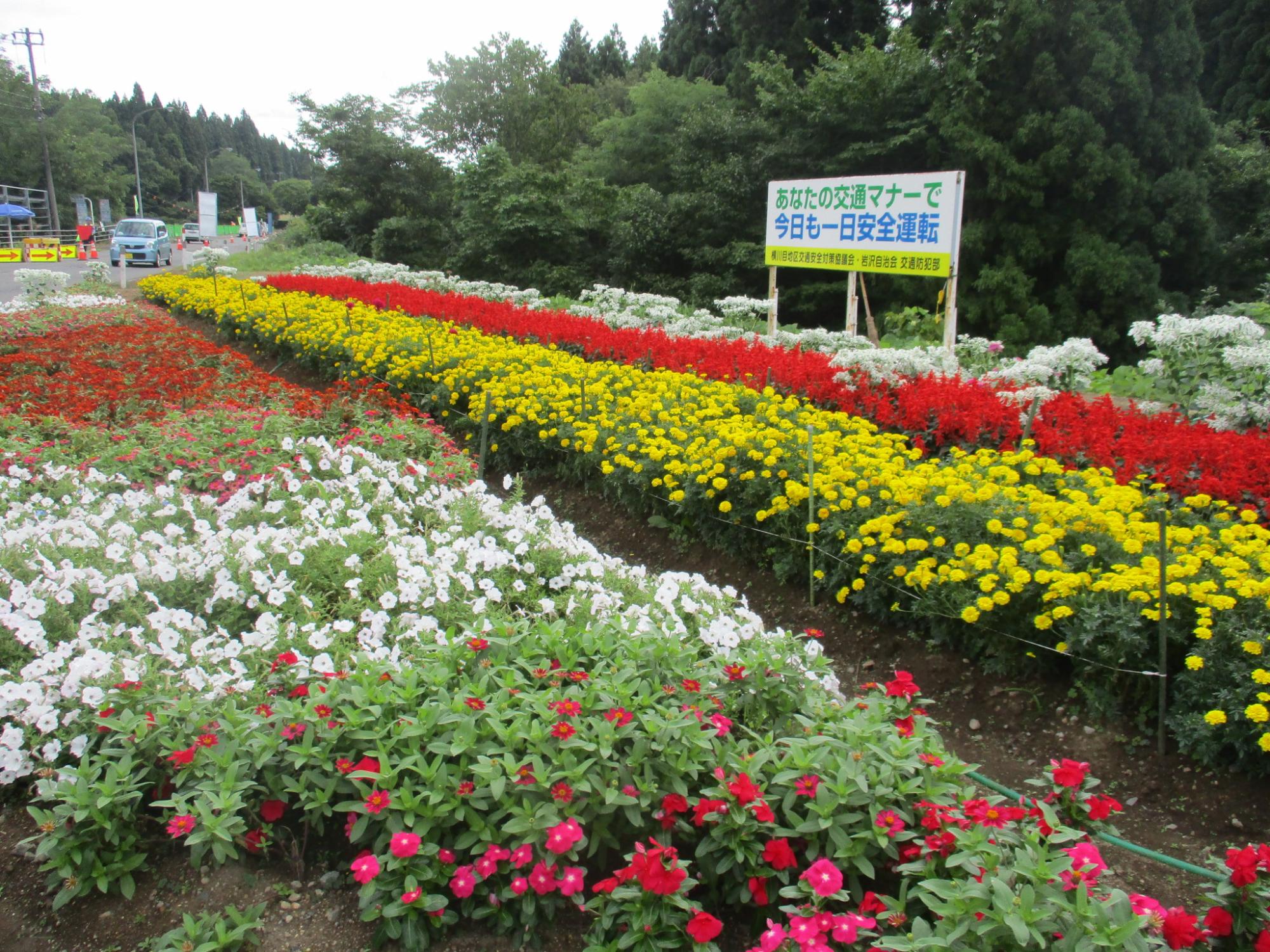 岩沢自治会かすみ草会_1