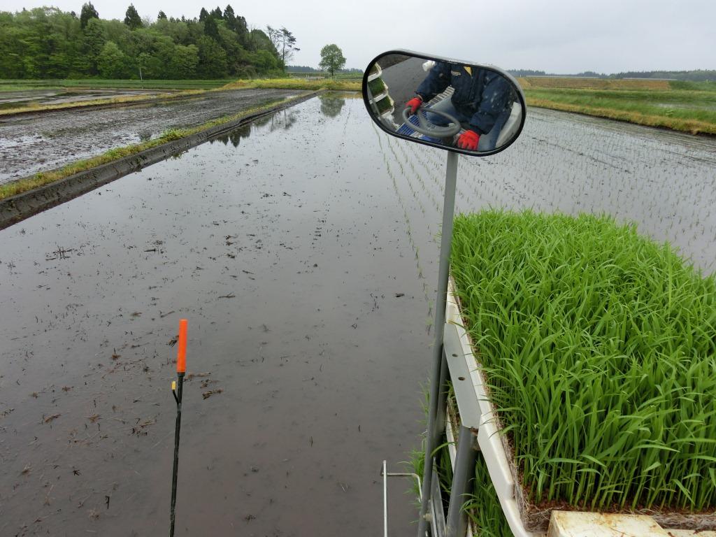 田植え作業の写真