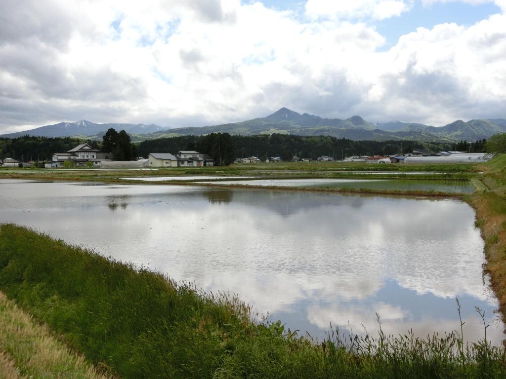 田植え作業の写真