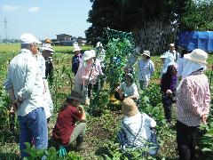 滑田圃場研修