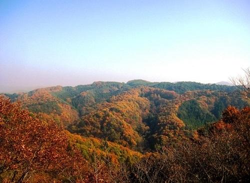 秋の国見山