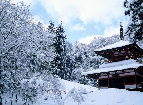 冬の極楽寺