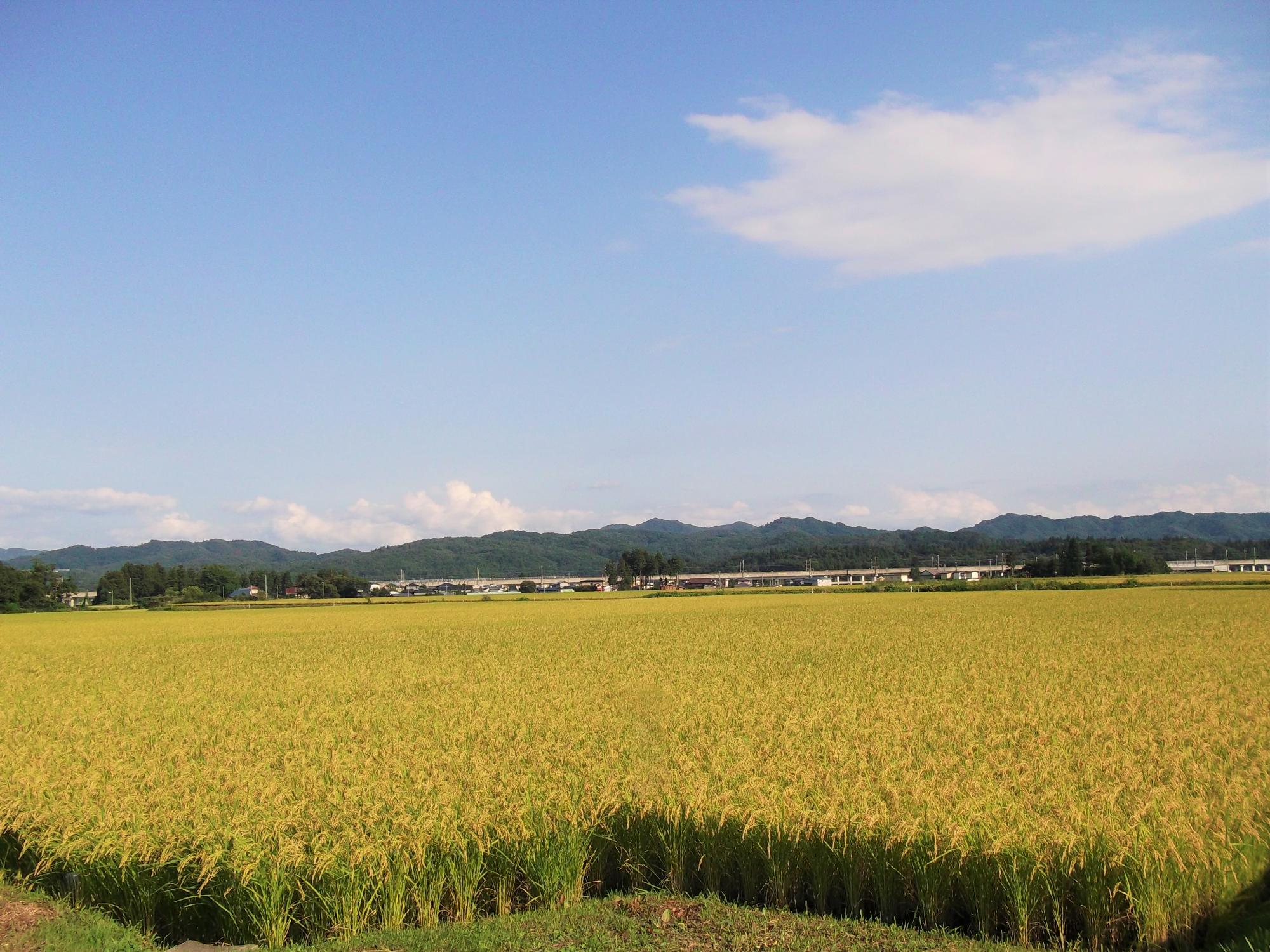 認定番号18　自然豊かな二子の郷