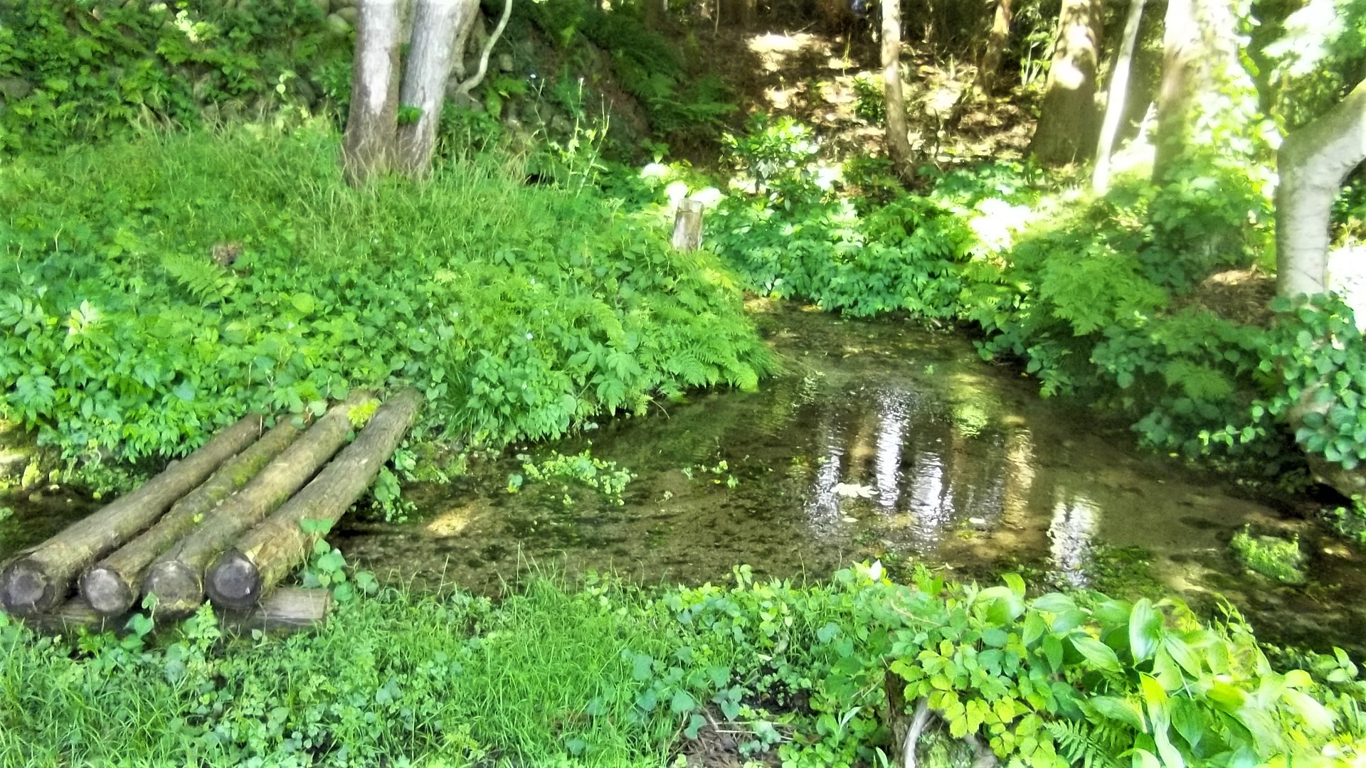 認定番号3　垂井の里　湧水群～山神・長田・万海のスズ