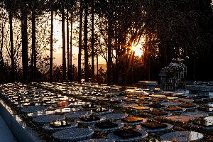 第12回北上市景観賞審査員特別賞の写真