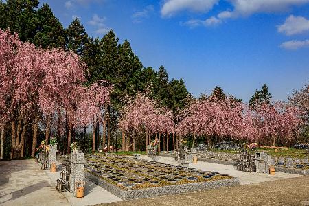 第12回北上市景観賞審査員特別賞の写真