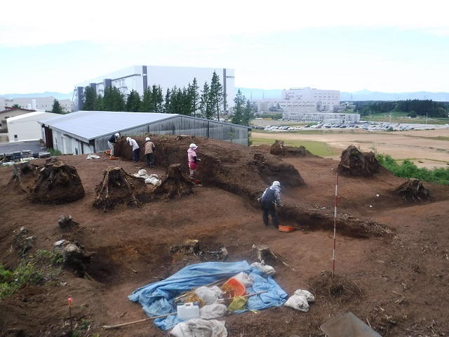 馬場野遺跡　調査中風景