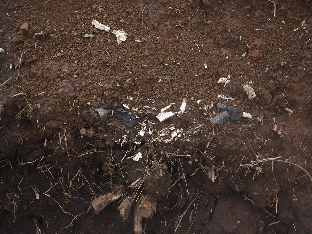馬場野遺跡　骨の出土状況