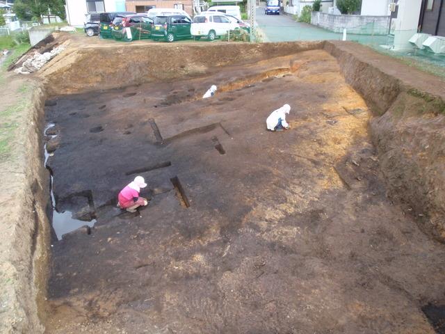 葛西壇遺跡調査区全景（西から）.JPG