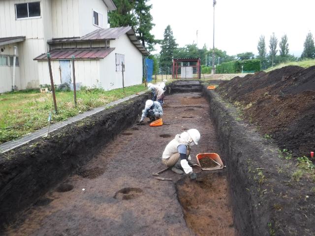 蛭川遺跡　調査区全景
