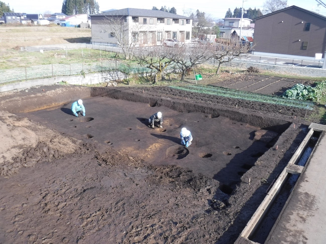 唐戸崎遺跡調査区全景写真