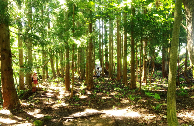 下仙人館跡　腰郭状平場全景