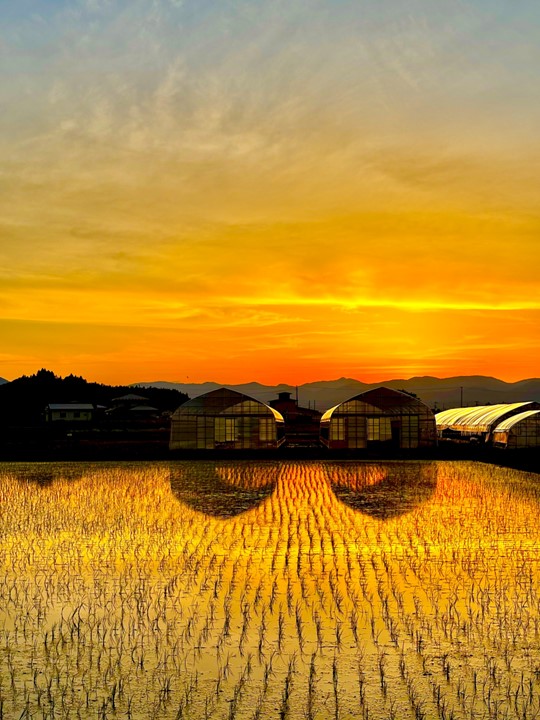 サンディスク賞