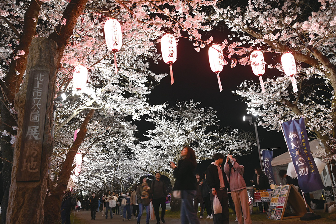 過去最速のさくらまつり